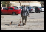 Marsaxlokk -27-02-2015 - Bogdan Balaban